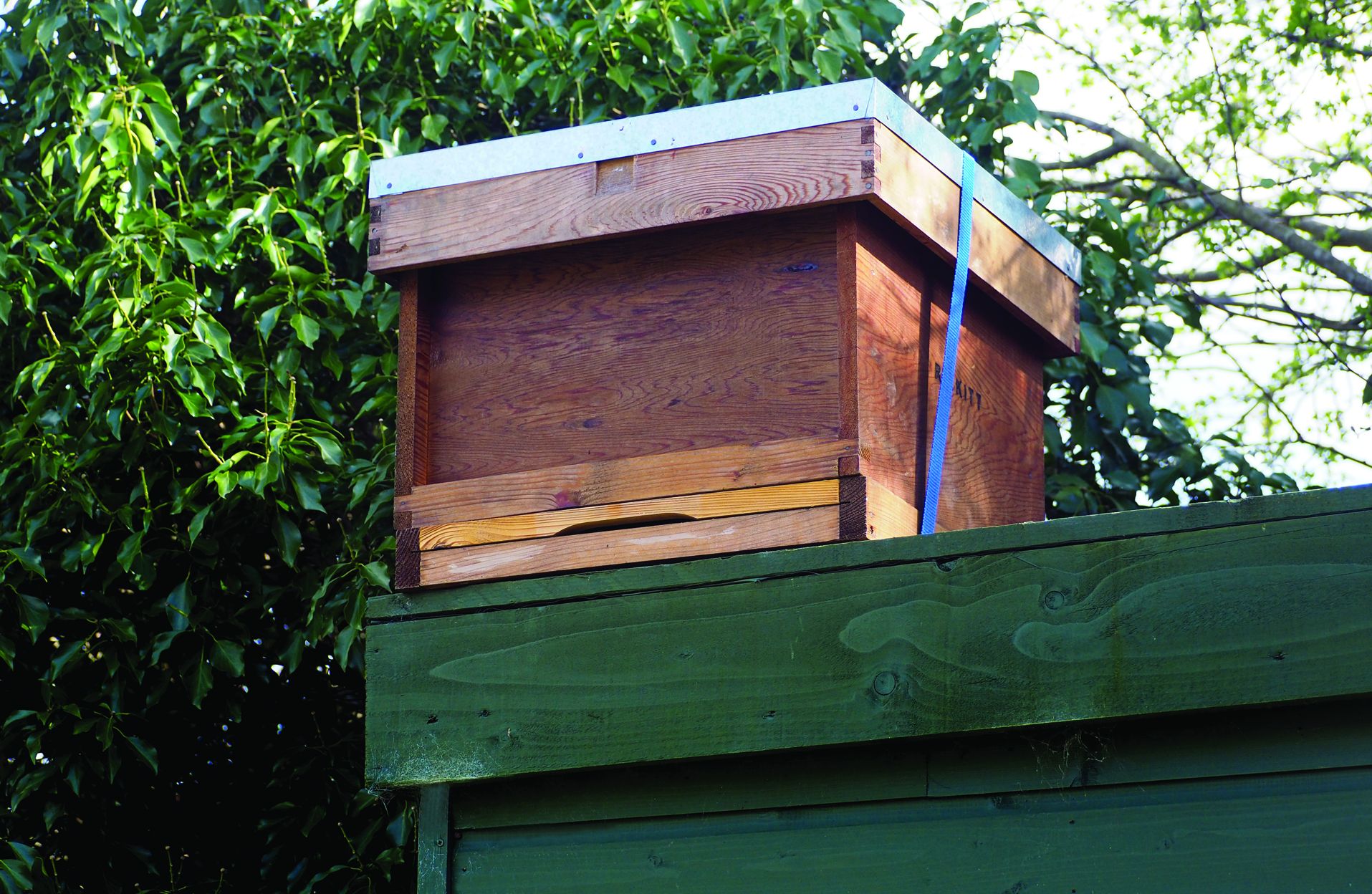 Bee Bait Swarm Lure/Attract More Honey Bees to Your Bait hive