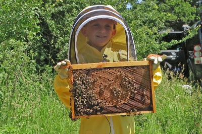 Britain's Youngest Ever Beekeeper