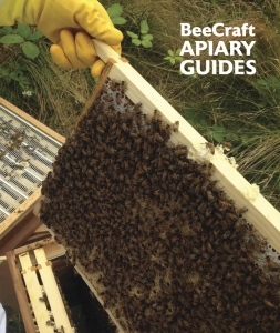 Bee Craft Apiary Guide Binder Only