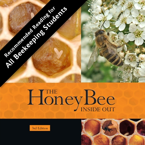 The Honey Bee Inside Out - 3rd Edition