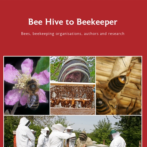 Bee Hive to Beekeeper