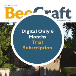 Bee Craft Digital Subscription | 6 months trial