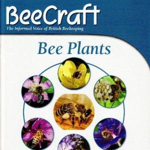 Bee Plants of the Month
